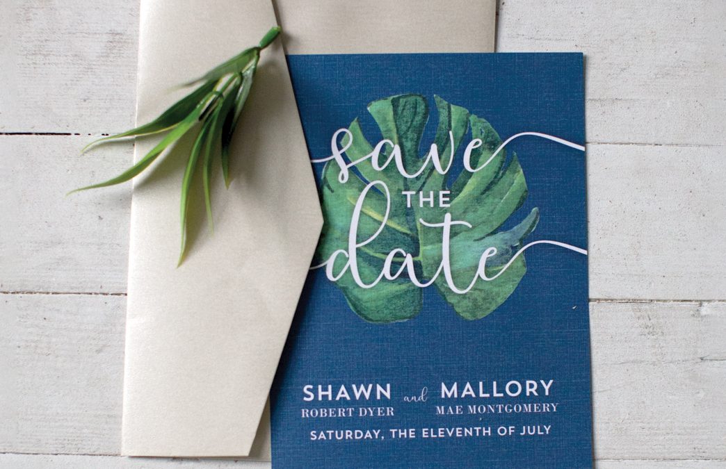 Wedding Suite Design
